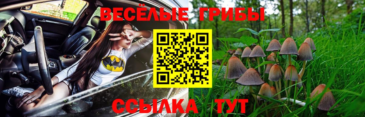 Джанкой  Галлюциногенные грибы MAGIC MUSHROOMS  Вход с VPN 